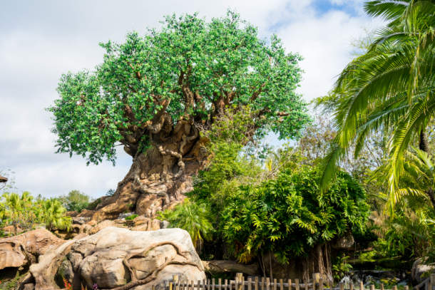 , Dateline Disney World – Animal Kingdom News and Photos