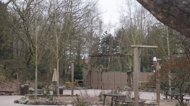 , Disneyland Paris Update: Phantom Manor, Autopia, Caf&eacute; Mickey & More