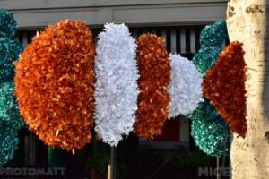 , Disneyland Update – Oooooh!