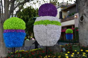 , Disneyland Update – Oooooh!