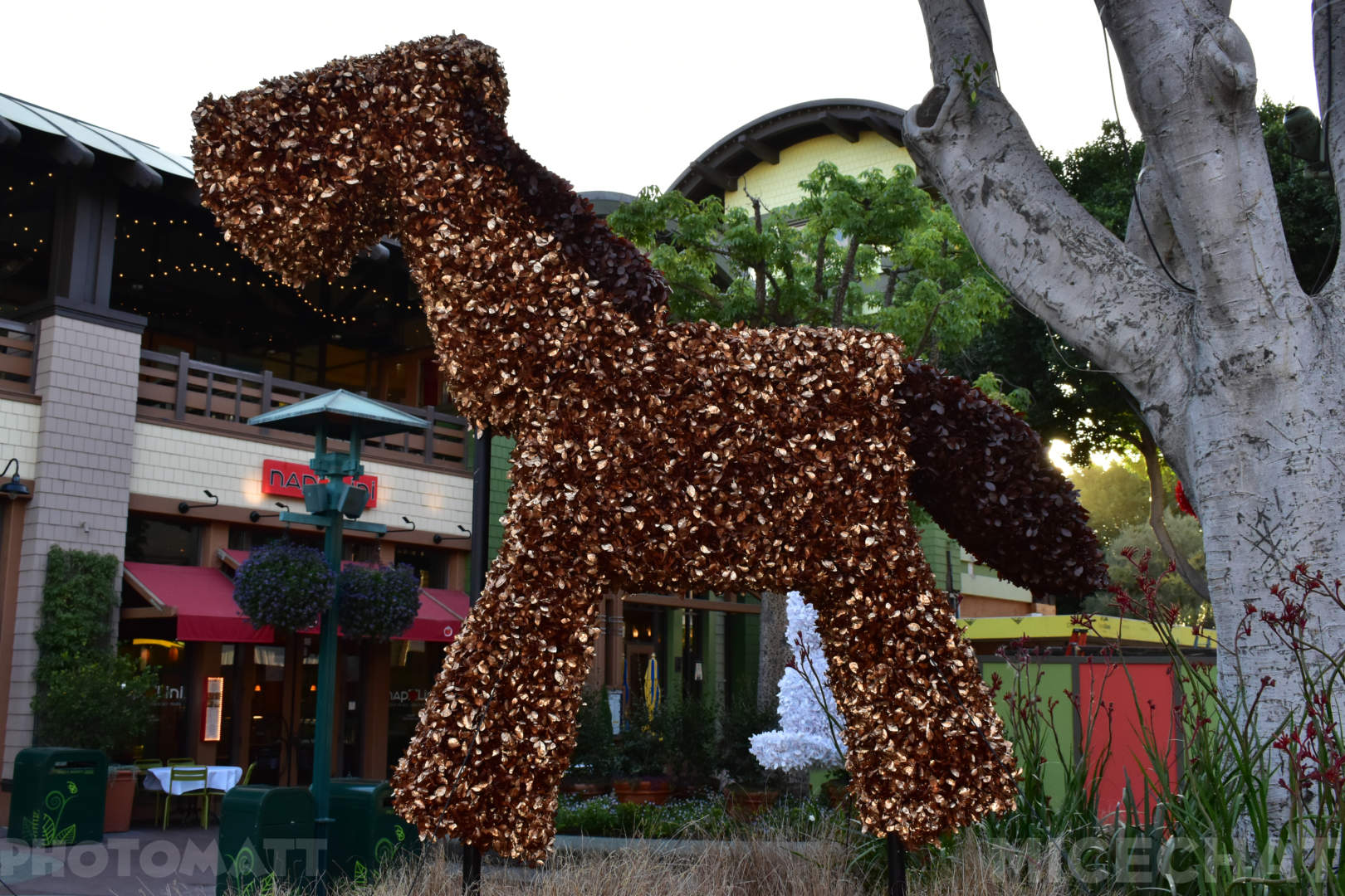 , Disneyland Update – Oooooh!