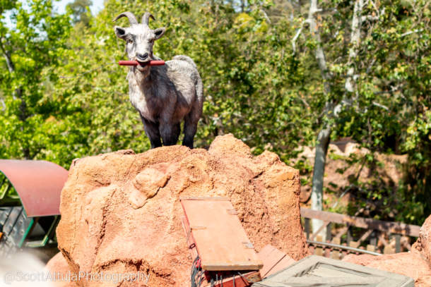 , Disneyland Update – Oooooh!