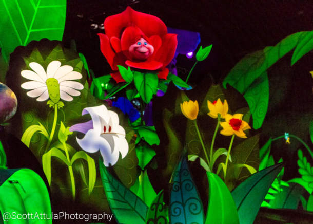 , Disneyland Update – Oooooh!