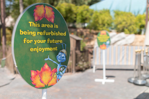 , Disneyland Resort Update &#8211; DCYay &#038; Splashing Around