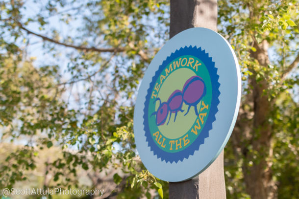 , Disneyland Resort Update – DCYay & Splashing Around
