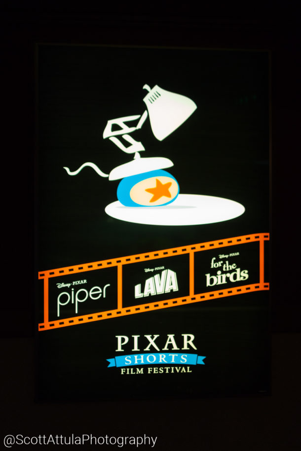 , Disneyland Resort Update – DCYay & Splashing Around