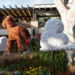 IMG_8606