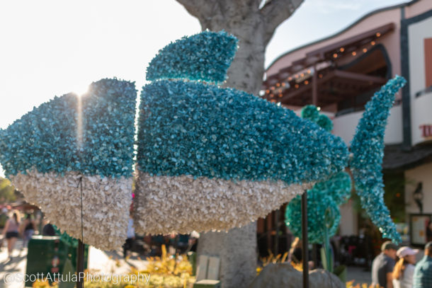 , Disneyland Resort Update – DCYay & Splashing Around
