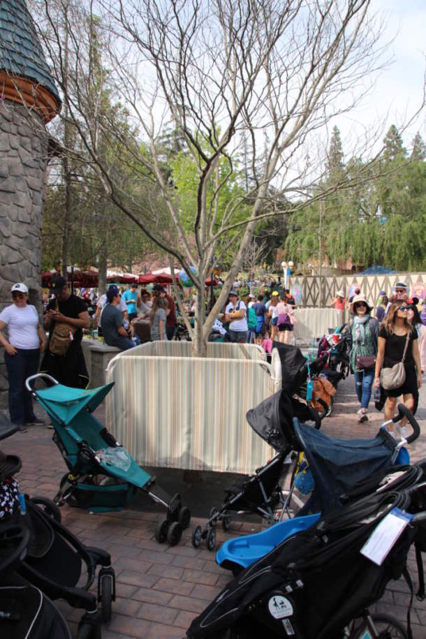 , Disneyland Photo Update – Pink is the New Pink