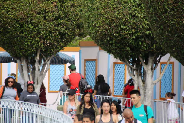 , Disneyland Photo Update – Pink is the New Pink