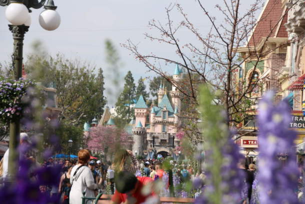 , Disneyland Photo Update – Pink is the New Pink
