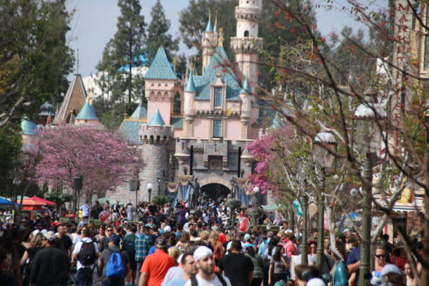, Disneyland Photo Update – Pink is the New Pink