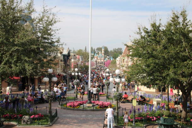 , Disneyland Photo Update – Pink is the New Pink