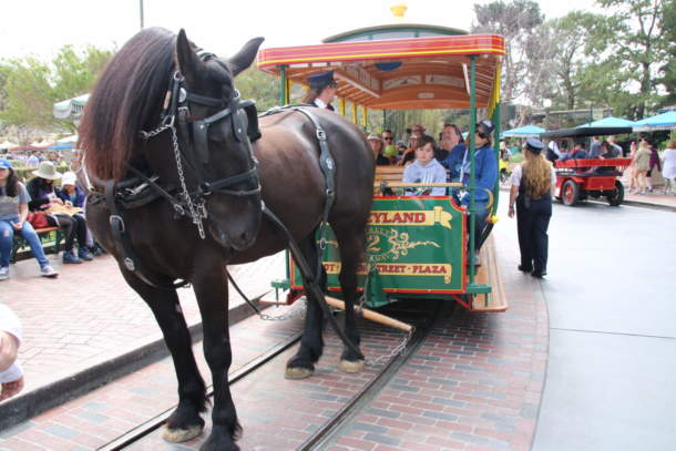 , Disneyland Photo Update – Pink is the New Pink