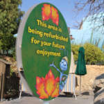 IMG_9481-Disneyland-