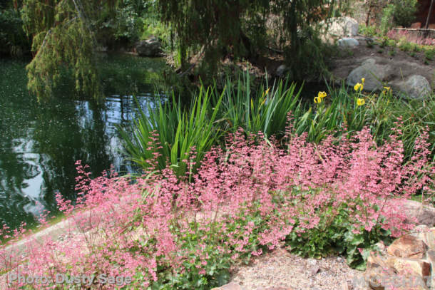 , Disneyland Photo Update – To Infinity and Beyond