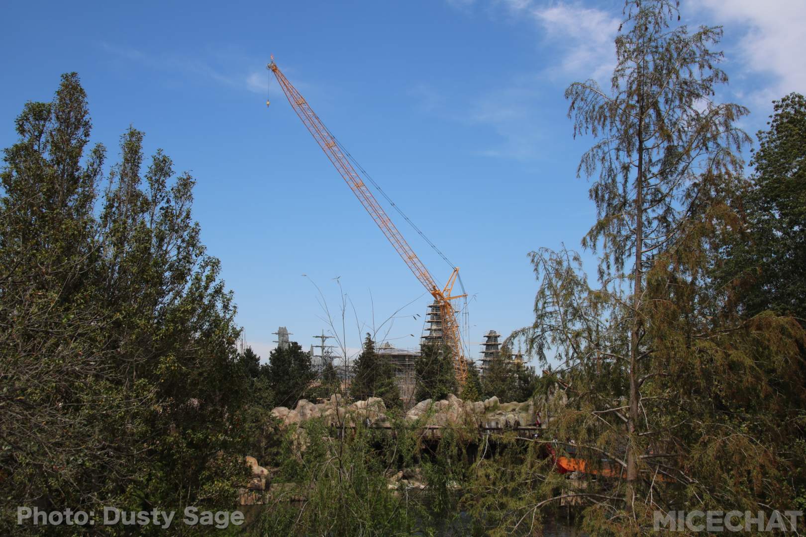 , Disneyland Photo Update – Farewell to the Redhead