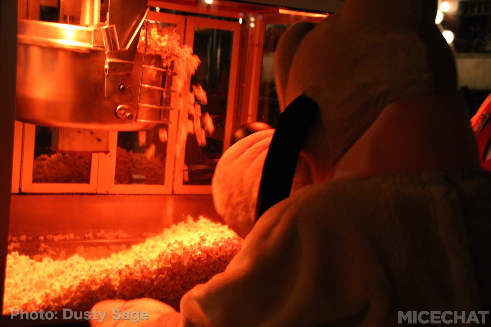 , Disneyland Photo Update – Farewell to the Redhead