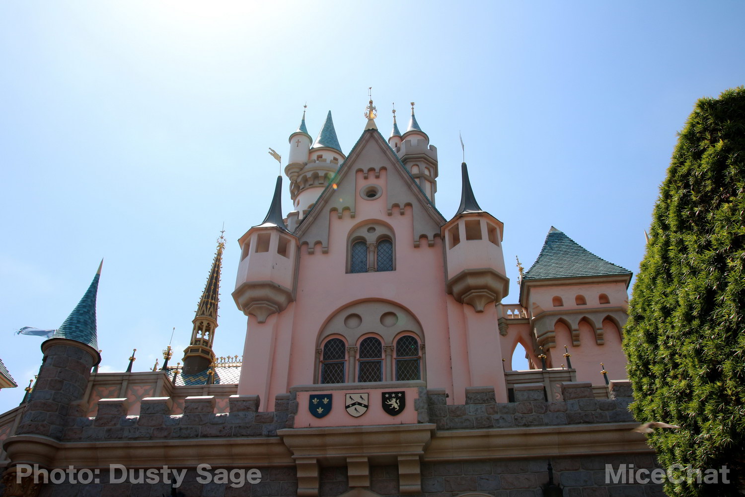, Disneyland Photo Update – When I See an Elephant Fly