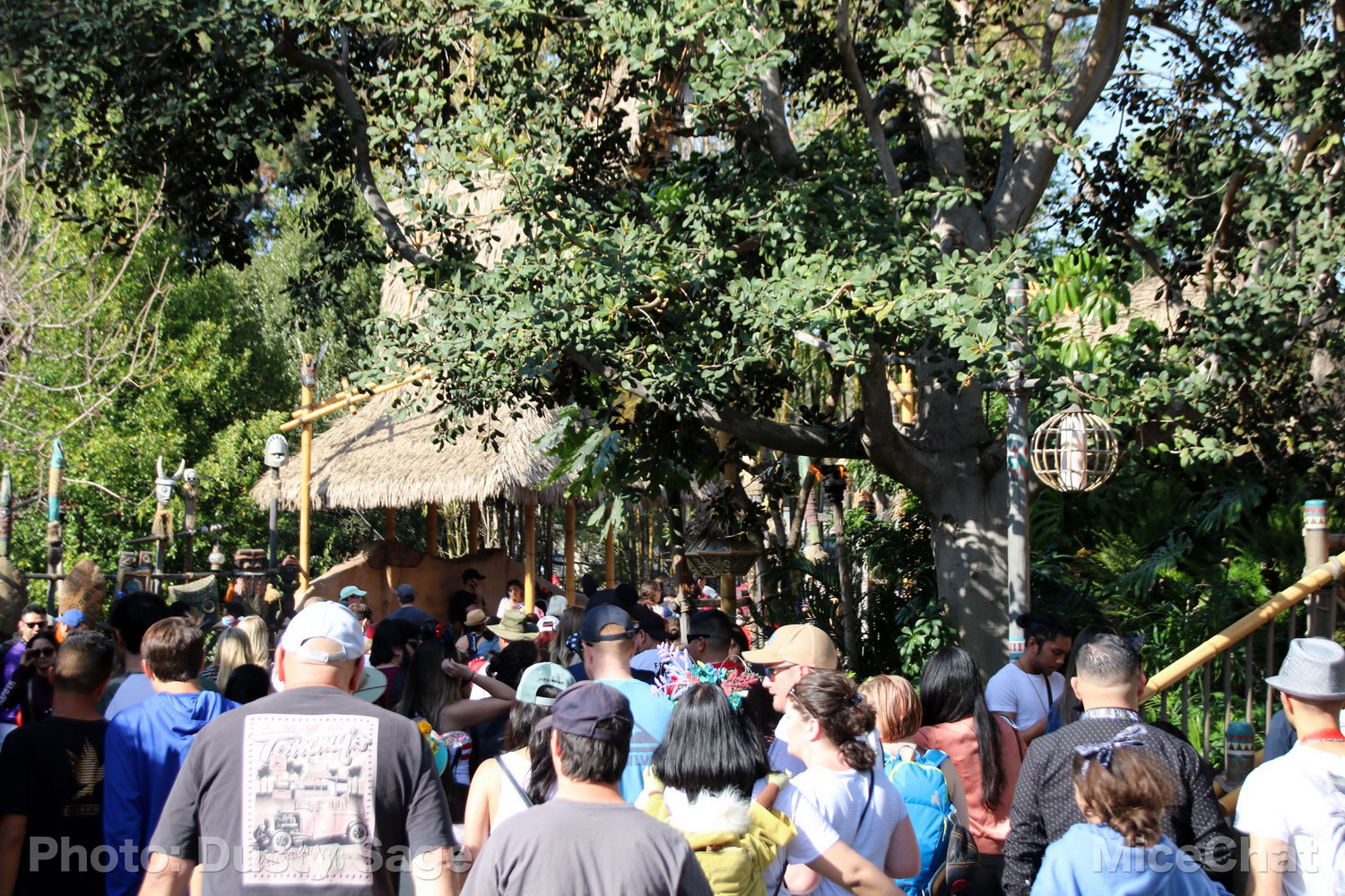 , Disneyland Photo Update &#8211; When I See an Elephant Fly