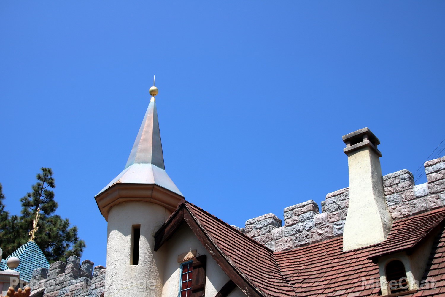, Disneyland Photo Update – When I See an Elephant Fly