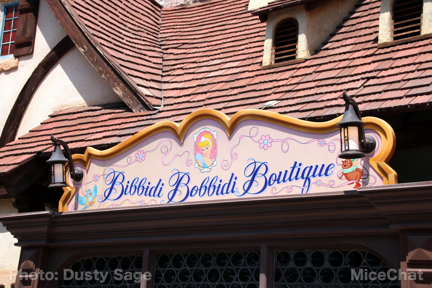 , Disneyland Photo Update – When I See an Elephant Fly