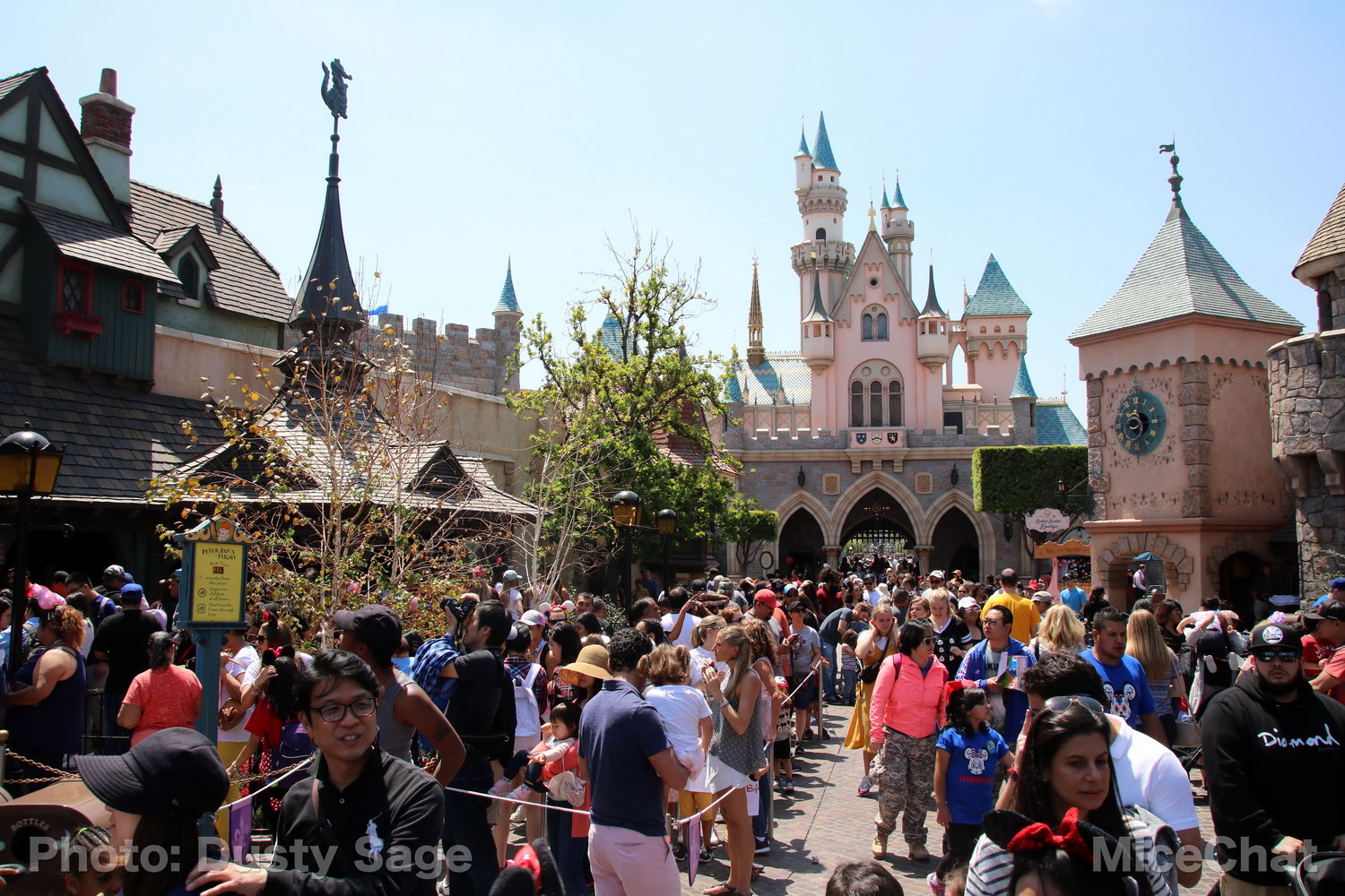 , Disneyland Photo Update &#8211; When I See an Elephant Fly