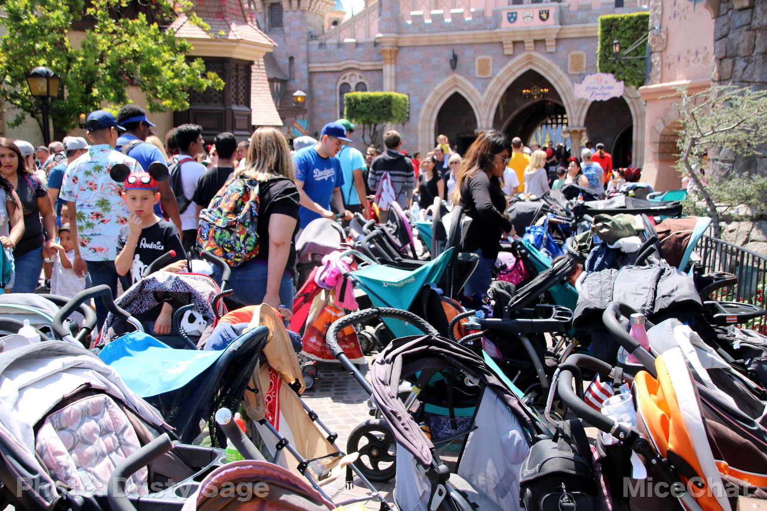 , Disneyland Photo Update – When I See an Elephant Fly