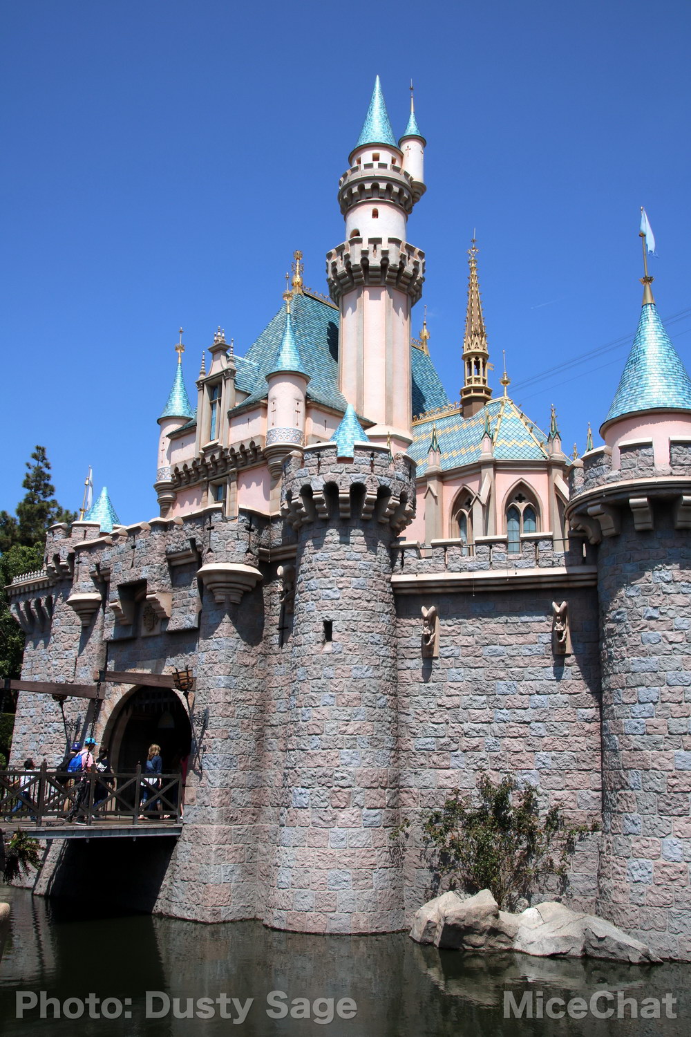 , Disneyland Photo Update – When I See an Elephant Fly