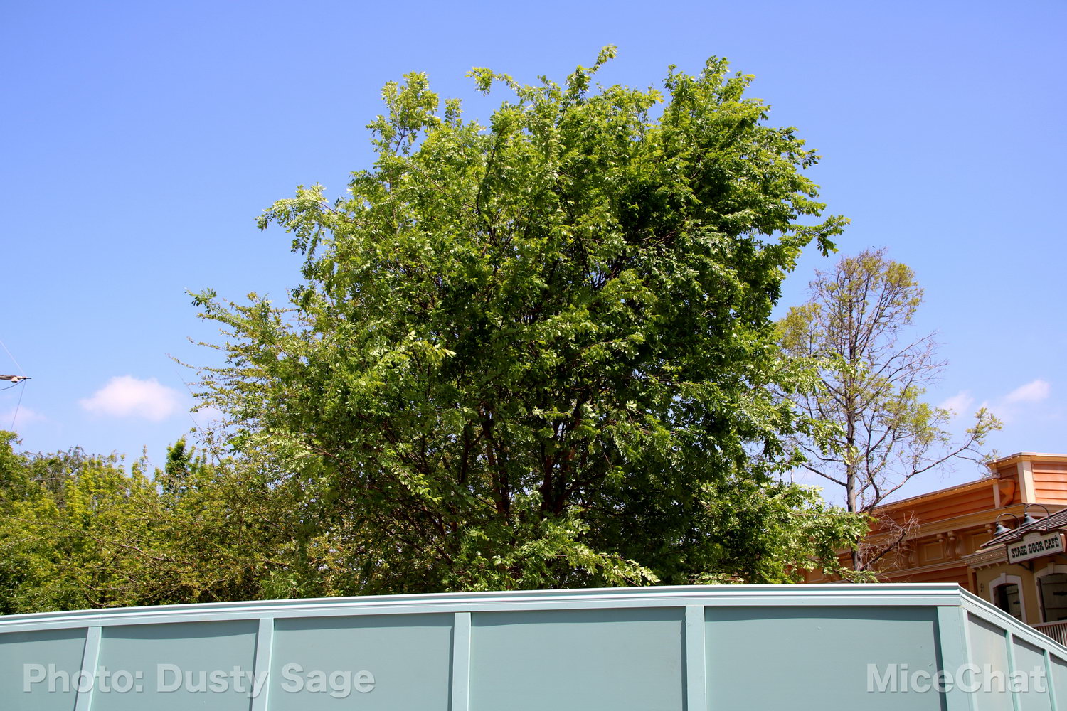 , Disneyland Photo Update – When I See an Elephant Fly