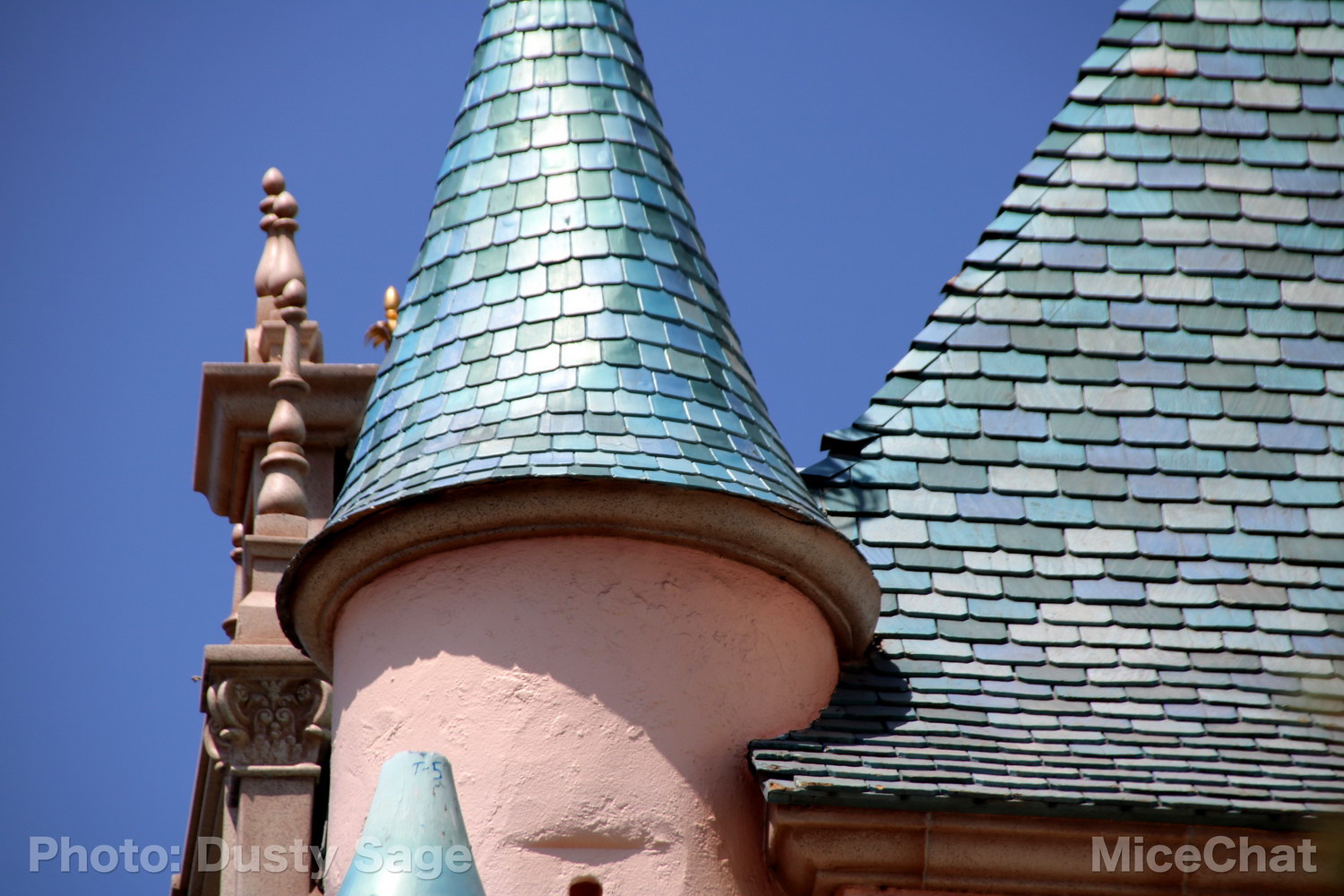 , Disneyland Photo Update – When I See an Elephant Fly
