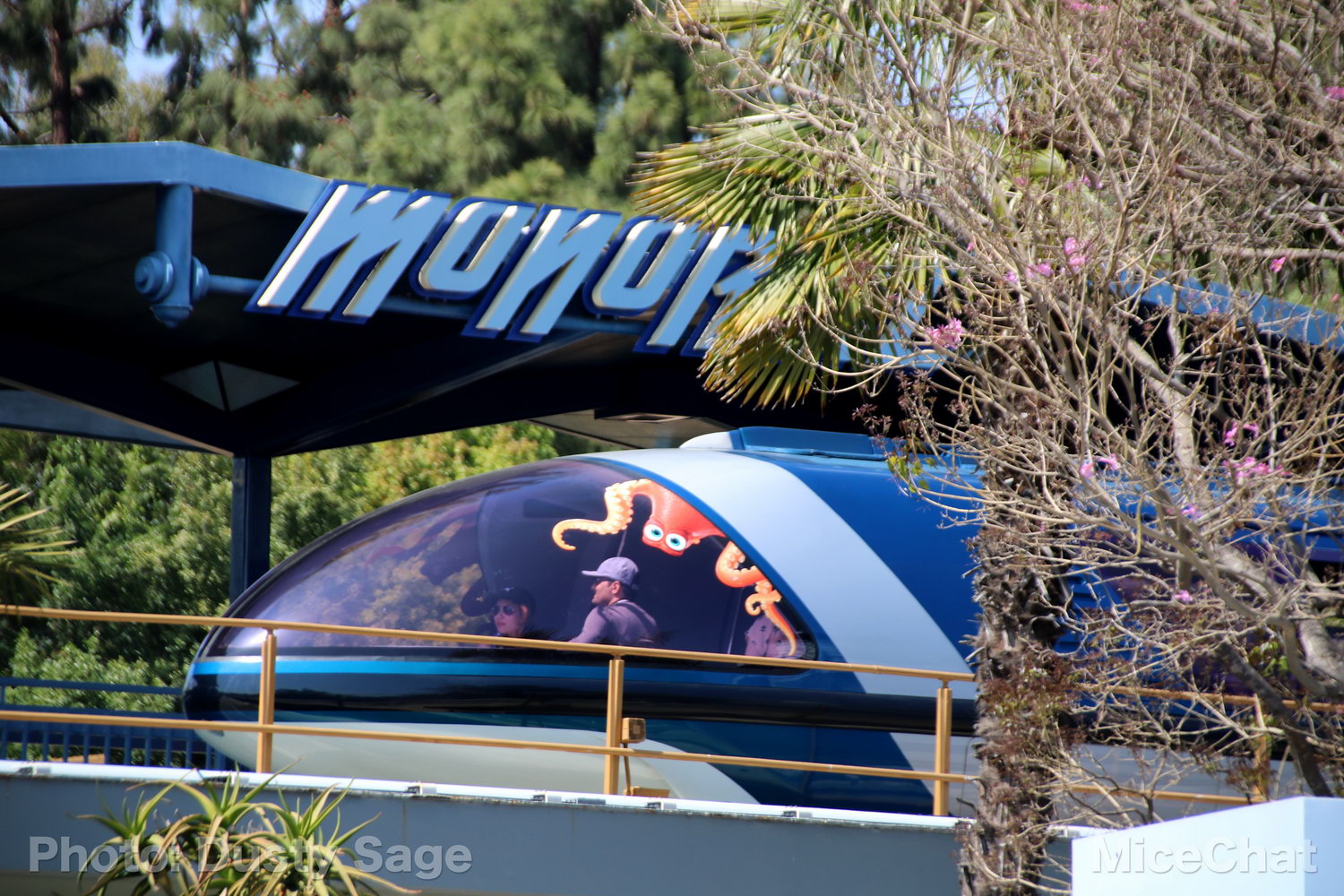 , Disneyland Photo Update &#8211; When I See an Elephant Fly