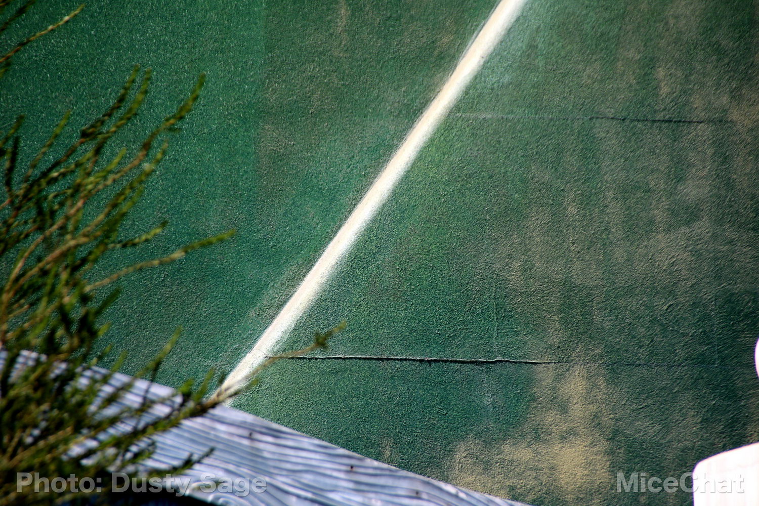 , Disneyland Photo Update – When I See an Elephant Fly