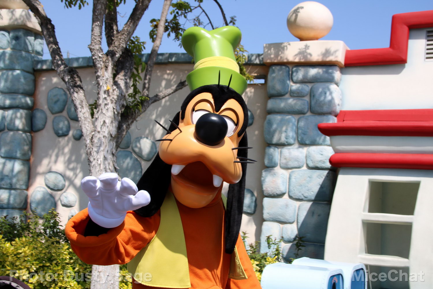 , Disneyland Photo Update – When I See an Elephant Fly