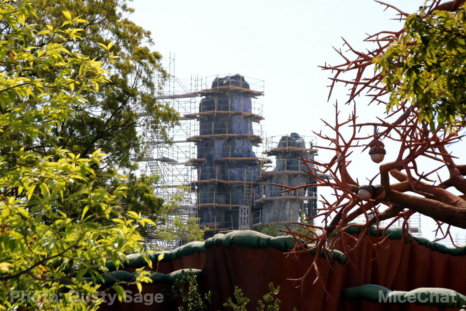 , Disneyland Photo Update – When I See an Elephant Fly