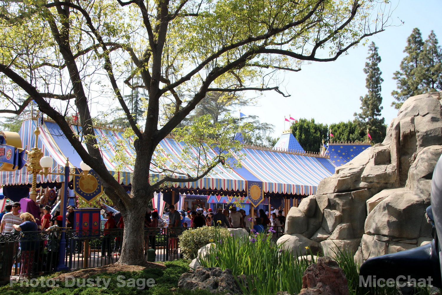 , Disneyland Photo Update – When I See an Elephant Fly