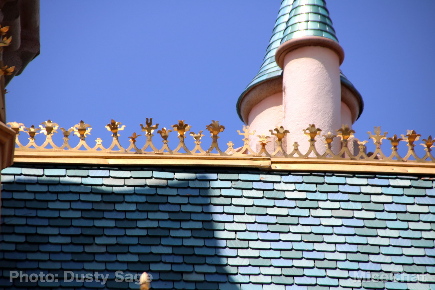 , Disneyland Photo Update – When I See an Elephant Fly