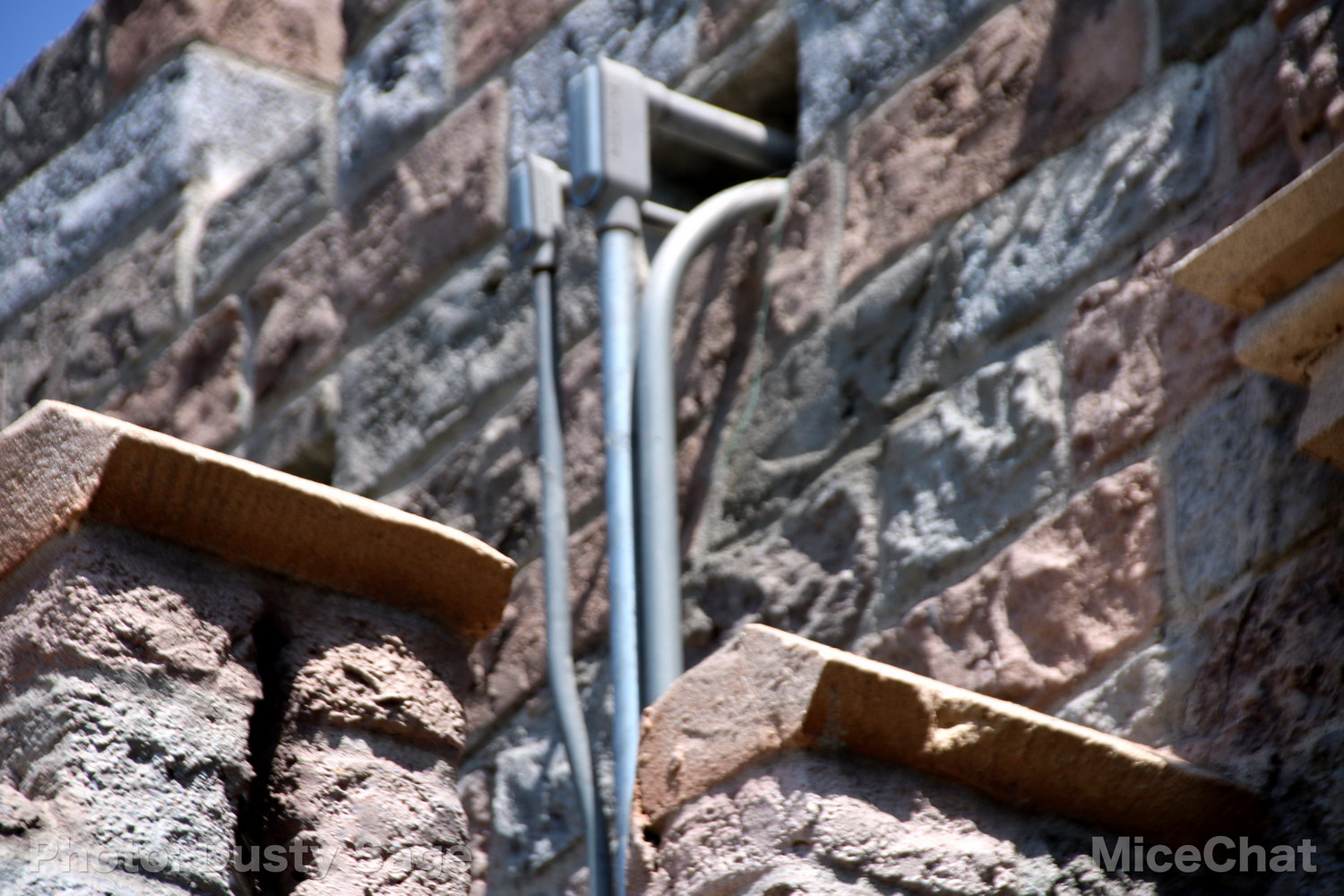 , Disneyland Photo Update – When I See an Elephant Fly