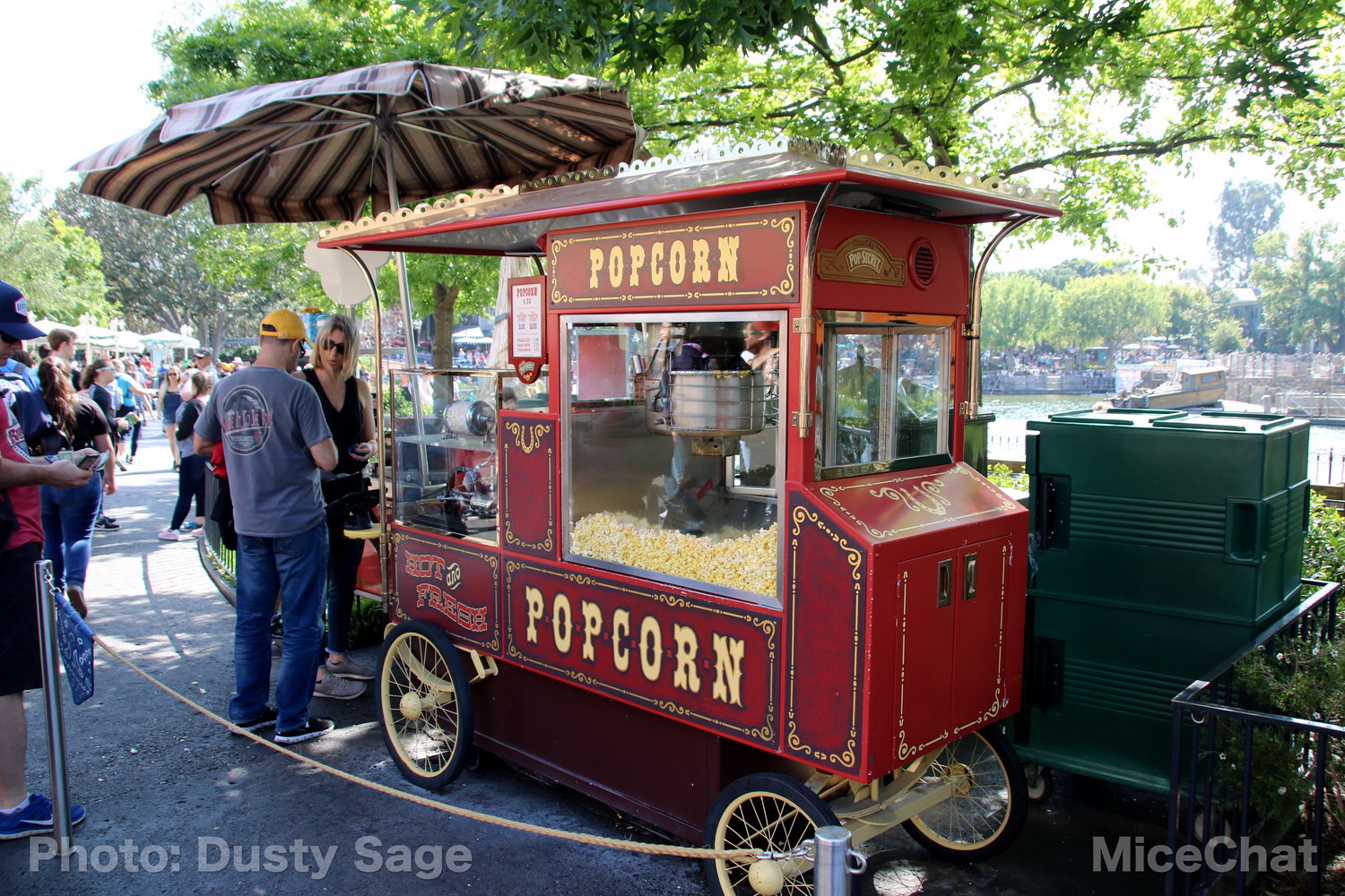 , Disneyland Photo Update &#8211; When I See an Elephant Fly