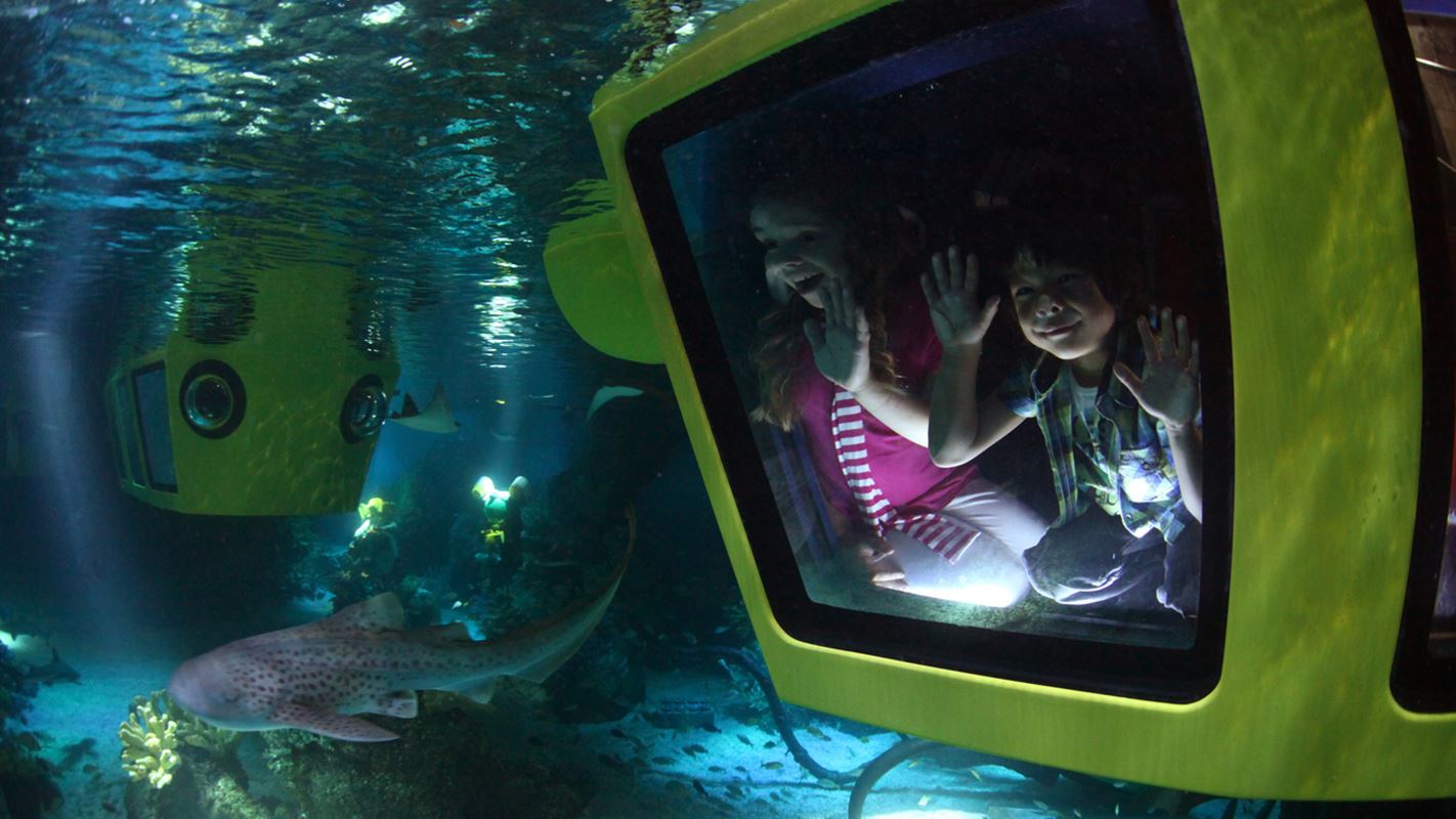 , Deep Sea Submarine Adventure Headed to Legoland California