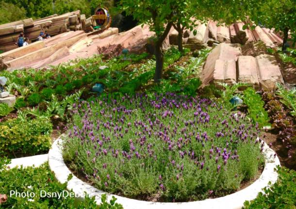 , Disneyland Update – Pirates, PeopleMover, and Hyperspace
