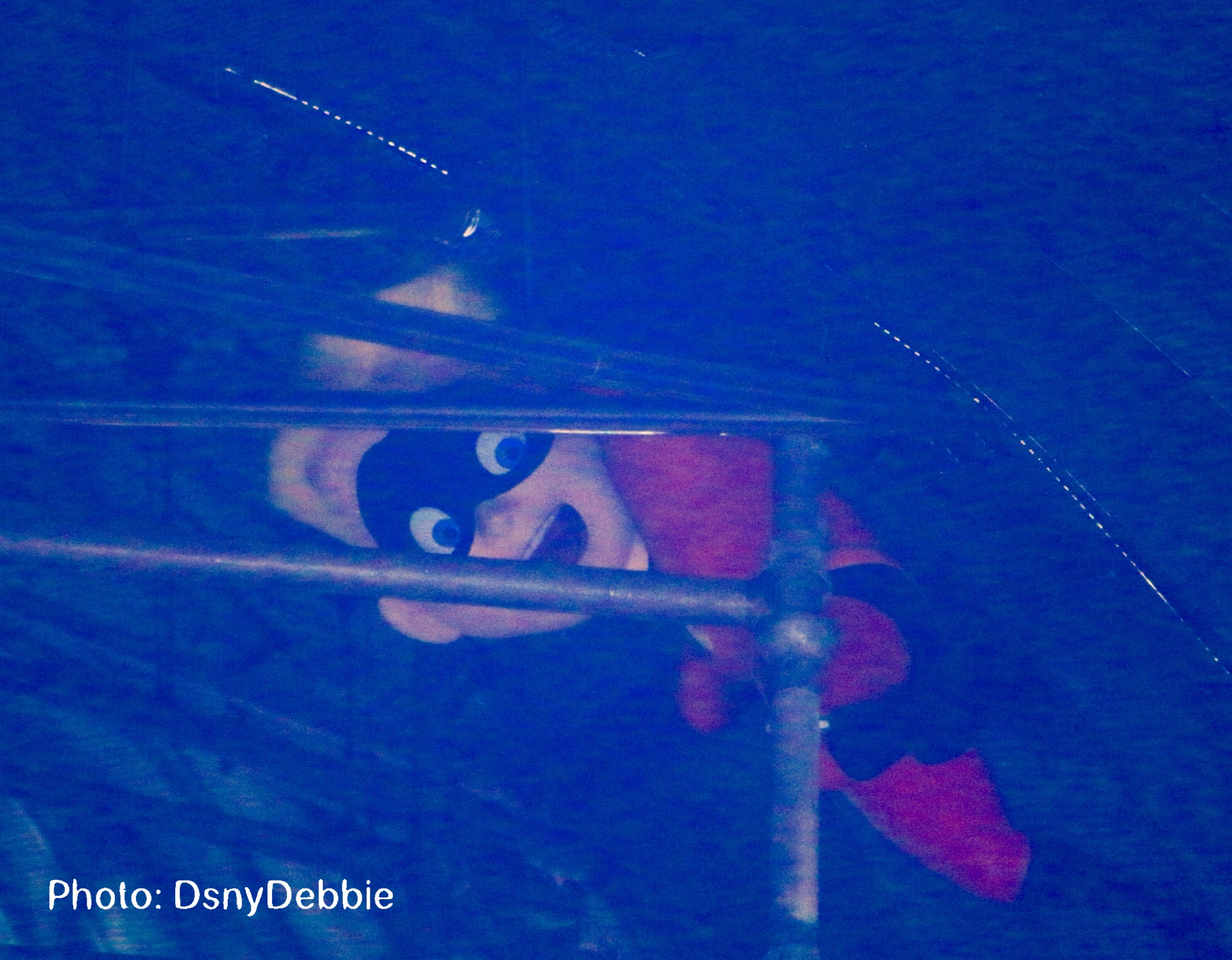 , Disneyland Resort Update – Coming Soon . . .