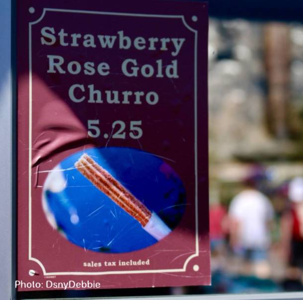 , Disneyland Update &#8211; Churro Scam, Galaxy&#8217;s Edge, and Cute Baby Animals