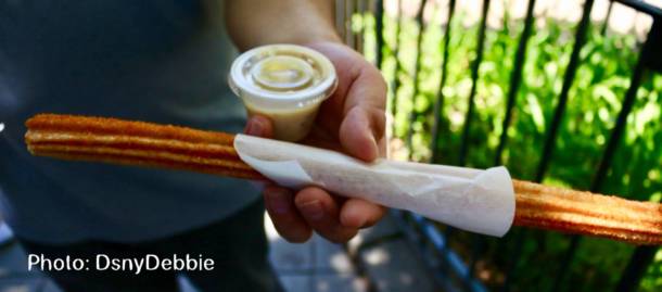 , Disneyland Update – Churro Scam, Galaxy’s Edge, and Cute Baby Animals