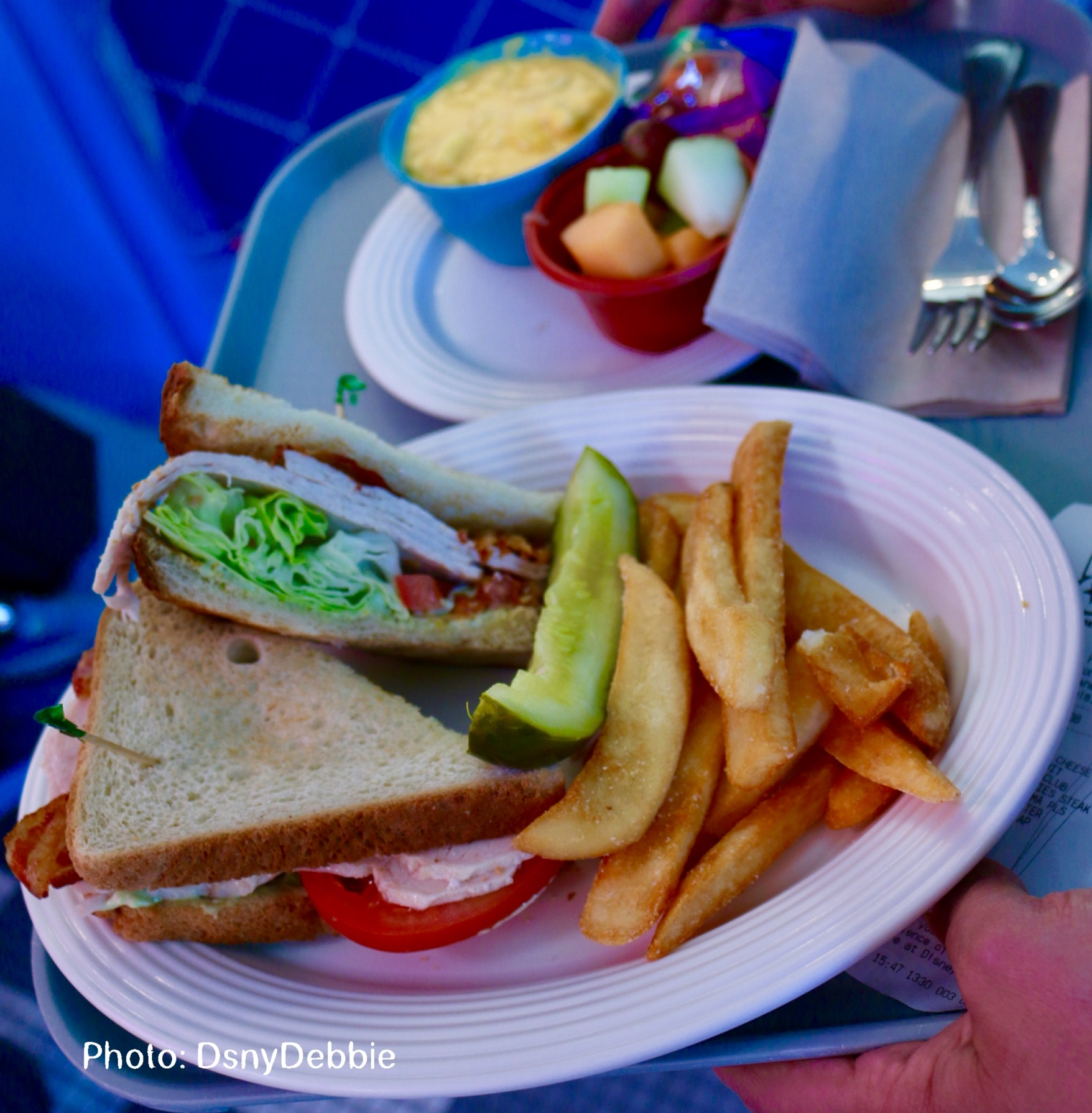 , Disneyland Resort Update – Coming Soon . . .