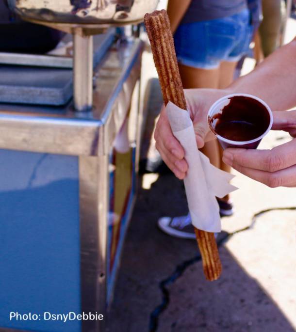 , Disneyland Update – Churro Scam, Galaxy’s Edge, and Cute Baby Animals