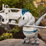 Bird is a Robot