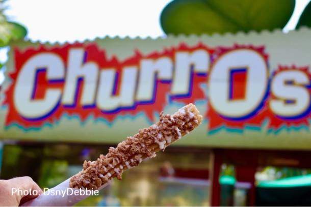 , Disneyland Update – Churro Scam, Galaxy’s Edge, and Cute Baby Animals