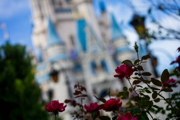 , Dateline Disney World –  Magic Kingdom Monorails, Clubs and Cancellations