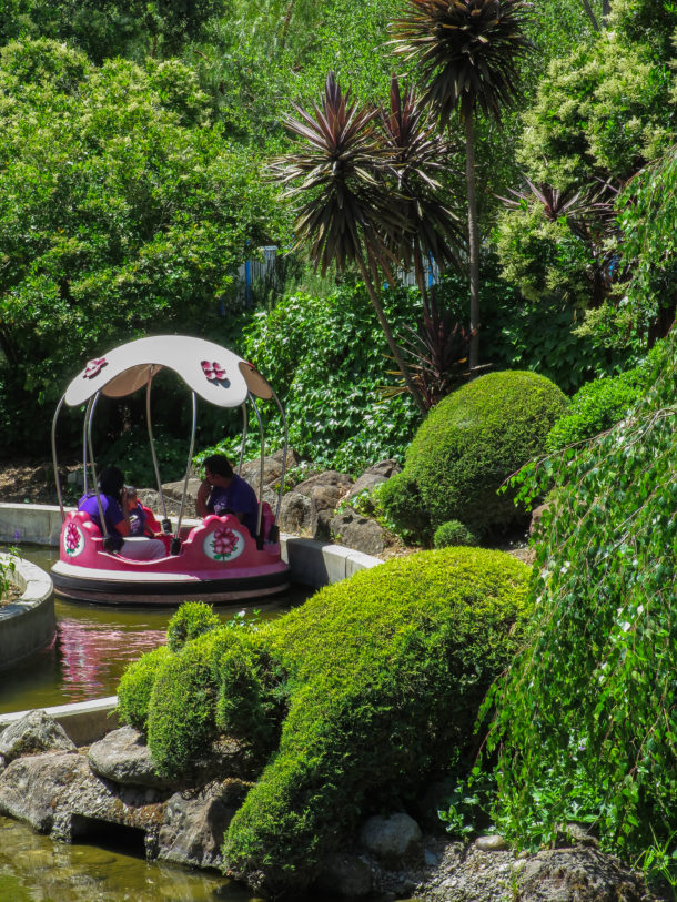 , A Blooming Wet Time at Gilroy Gardens